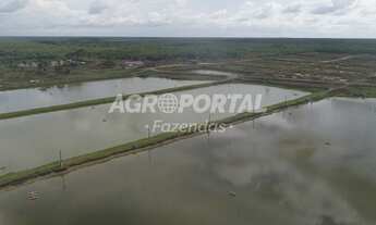 Imagem 5: Fazenda no Pará - Curuçá - 54 ha (11 alq