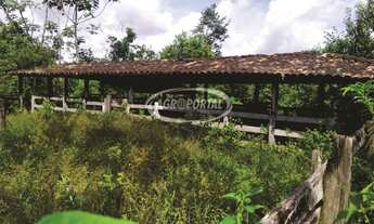Imagem 5: Fazenda no Pará - Igarapé Miri - 294 ha (60 alq