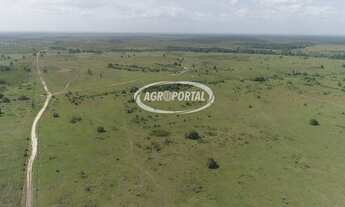 Imagem 6: Fazenda no Pará - Viseu - 6648 ha (1373 alq
