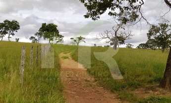 Imagem 7: Fazenda 80 Alqueires dupla aptidão lavoura/pecuária em Corumbaíba - Go