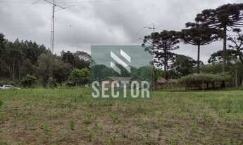 Imagem 5: Fazenda / Sítio / Chácara em Rio de Una - São José dos Pinhais