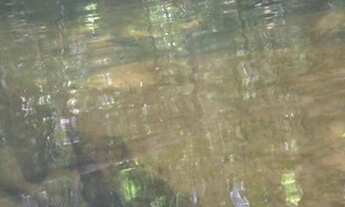 Imagem 5: Sítio com 2 casas excelente localização!