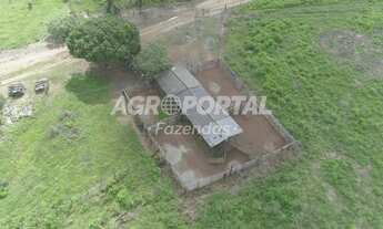Imagem 4: Fazenda no Pará - Aurora do Pará - PA