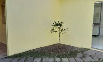 Imagem 3: Alugo casa Inocoop