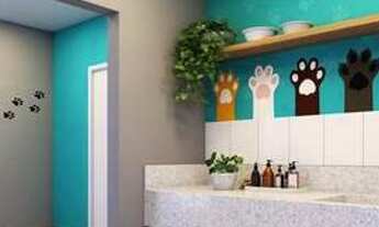 Imagem 5: Show Zona Sul - 32 a 37m² - 1 a 2 Quartos - 1 Banheiro - Jardim da Pedreira, São Paulo - S