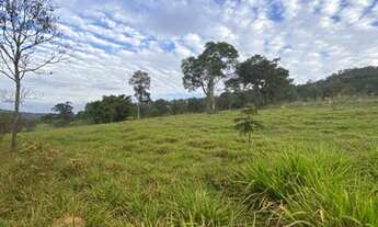 Imagem 3: Terreno com área de 2,5 ha em Sítio Novo - Mateus leme/MG