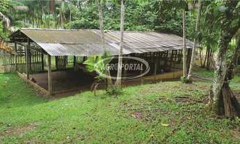 Imagem 4: Fazenda no Pará - Acará - 42 ha (8 alq