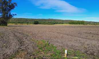 Imagem: Chácaras de fácil acesso e valor super