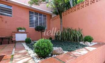 Imagem 2: São Paulo - Casa Padrão - Moema