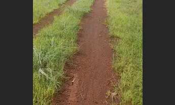 Imagem 3: . Uma fazenda 110 alqueires 50 Km da capital