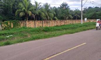 Imagem 3: Lote/Terreno para venda possui, 130.000m² - Castanhal - LT0004