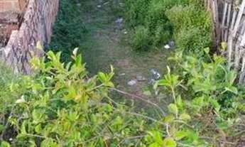 Imagem 3: Terreno Medindo 5/15 Paraíso do Sul