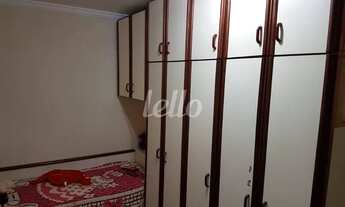 Imagem 7: Santo André - Casa Padrão - Parque Capuava