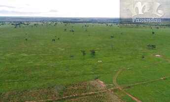 Imagem 7: ML FAZENDAS - FAZ 151 Fazenda em Cassilândia / MS 6.692,43 Hect