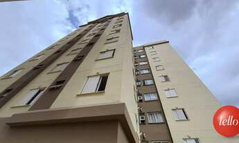 Imagem 7: São Paulo - Apartamento Padrão - Vila Formosa