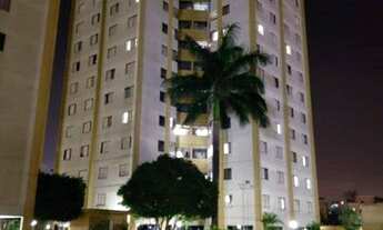 Imagem 7: Apartamento de 3 dormitórios à venda no Condomínio Pedras Raras