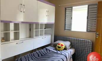 Imagem 2: São Paulo - Casa Padrão - Tatuapé