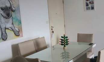 Imagem 3: Reserva das Flores