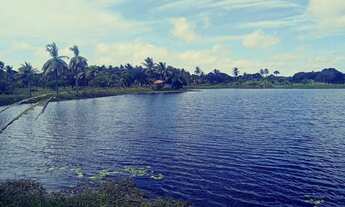 Imagem 4: Vendo Terreno Na Pindoretama Com 20 Hectares E Açude Dentro Vem Terreno Muito Bom. : Mate