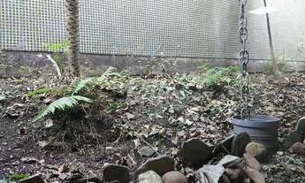 Imagem 5: São Caetano do Sul - Casa Padrão - Jardim São Caetano