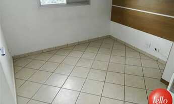 Imagem 6: São Paulo - Apartamento Padrão - São Lucas