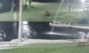 Imagem 6: Sitio Cachoeira Macacu friburgo Serra guapimirim itaborai