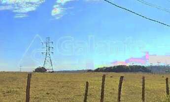 Imagem 6: área - João Aranha - Paulínia