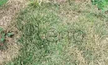 Imagem 3: Terreno à Venda no Condomínio Condomínio Picollo Villaggio, no bairro Vila Omízollo