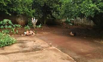 Imagem 3: Casa a venda em Goianira-Go Parque Los Angeles