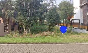 Imagem 2: Terreno em Gramado