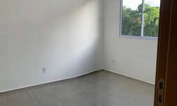 Imagem 6: /Mirante Amazonas - Ponta Negra