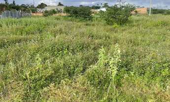 Imagem 6: Mini Sítio Haras Recanto