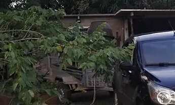 Imagem: Chácara 1300mts