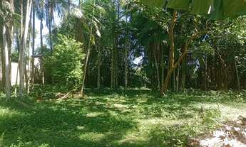 Imagem 3: Chacrinha Urbana | Escritura Pública | Casa Grande | Ótima Localização