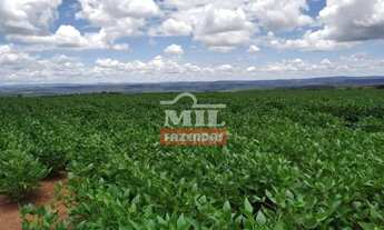 Imagem 4: Fazenda 103 Alqueires (500 Hectares) Doverlândia - GO