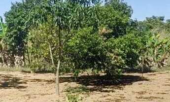 Imagem 4: Chácara DF 001 Km 100 - Alexandre Gusmão - Brazlândia