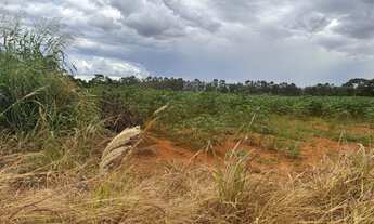 Imagem 7: Chácara a venda na DF-100 com 13 hectares
