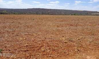 Imagem 2: Fazenda de 128 alqueires em Doverlandia-Go