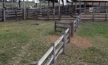 Imagem 7: Fazenda/Sítio/Chácara para venda com 88000 metros quadrados em Centro - Poconé - MT