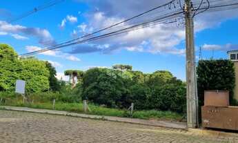 Imagem 4: Dois terrenos lado a lado com 720m2 no Vila Horn, Caxias do Sul