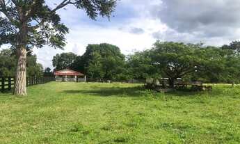 Imagem 4: Apartamento para venda com 1524600 metros quadrados com 8 quartos em Centro - Araguapaz