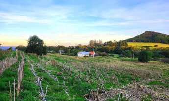 Imagem 2: Terreno para Venda em Nova Petrópolis, Pinhal Alto