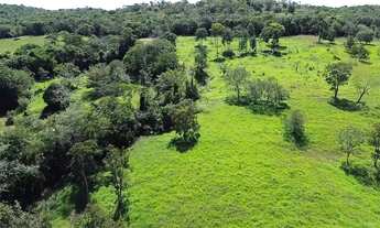 Imagem 5: Chácara de 8,5 alqueires rica em água com casa e curral top