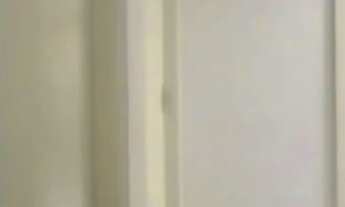 Imagem 6: Alugo casa semi mobiliada com loja grande embaixo