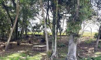 Imagem 6: Chácara à venda, TABATINGA, TIJUCAS DO SUL - PR