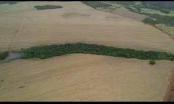 Imagem 5: Imóvel para venda com 600 metros quadrados em Area Rural de Piracanjuba - Piracanjuba - GO