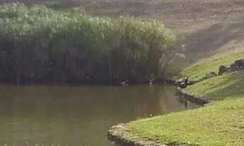 Imagem 3: CA01495 - Casa para Locação no Condomínio Jardim Vila Paradiso ? Indaiatuba/SP