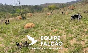 Imagem 6: Oportunidade: 600m² por apenas R$ 65 mil!