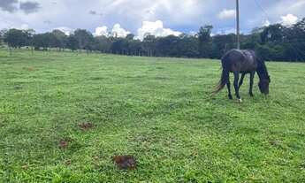 Imagem 5: Chácara á Venda em Itaberai/Go 5 alqueires e 30 litros