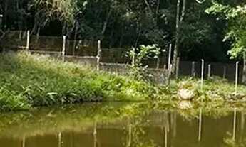 Imagem: Terreno Ideal para Casa de Campo Desfrute